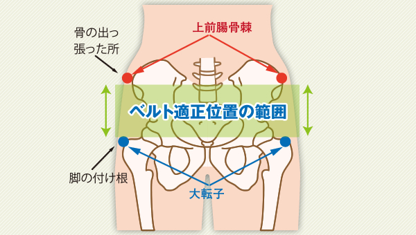 ベルト ショップ 種類 身体の位置